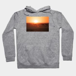 African Sunset Hoodie